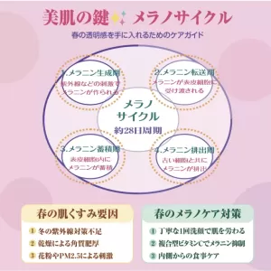「大人の透明感」を手に入れる✨：肌の「メラノサイクル」を知って春先の揺らぎ肌対策のサムネイル